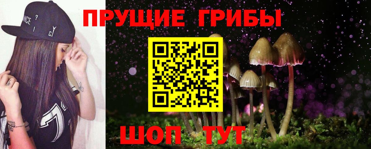 Галлюциногенные грибы мицелий  наркошоп  Протвино  Вход с VPN  Галлюциногенные грибы мухоморы 